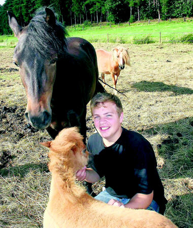 154227290 344 onlineBild