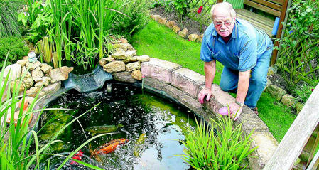 163983773 344 onlineBild