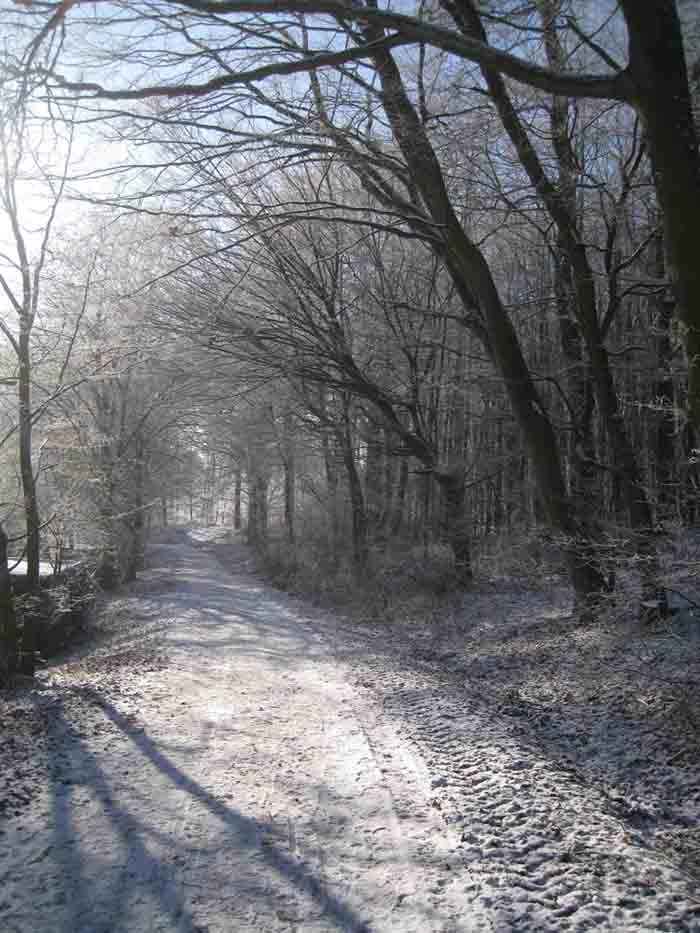2009 01 03 006Net