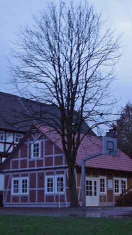 P1050626
