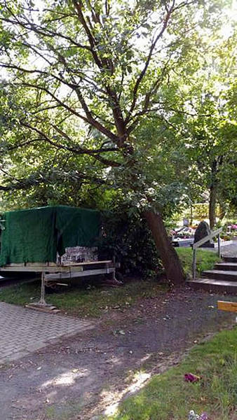 EicheFriedhof
