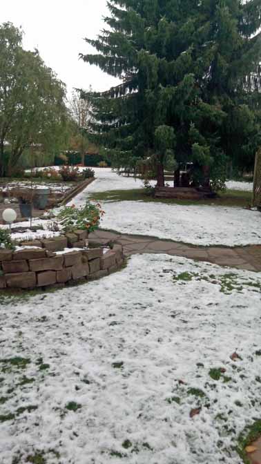 IMG 20151014 180602