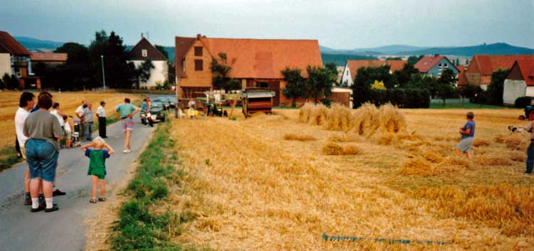 Roggenernte 1997 Reuter 5