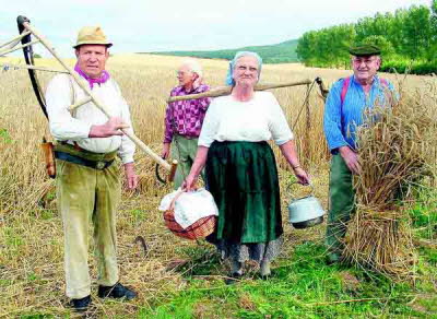 db 129887284 80581 onlinebildNET1