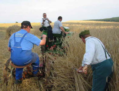 db Kornernte020805gNET1