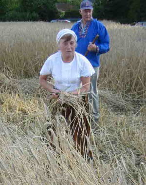 db Kornernte020805mNET1