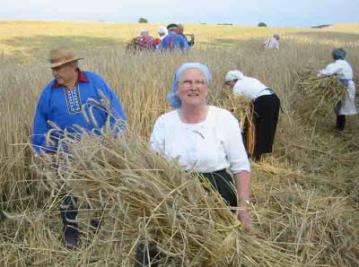 db Kornernte020805nNET1