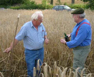 db Kornernte020805oNET1