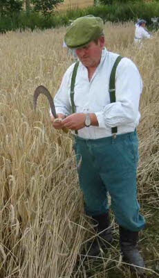 db Kornernte020805pNET1