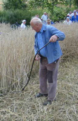 db Kornernte020805qNET1