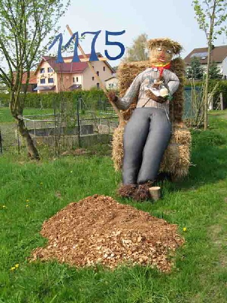 07 05 2006Diverse 007