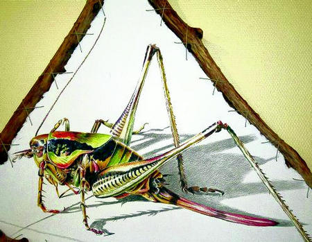 197040605 344 onlineBild