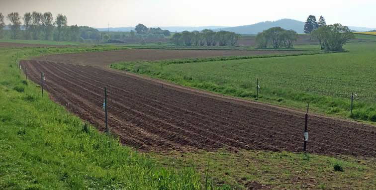 Vorbereitung IMG 1068