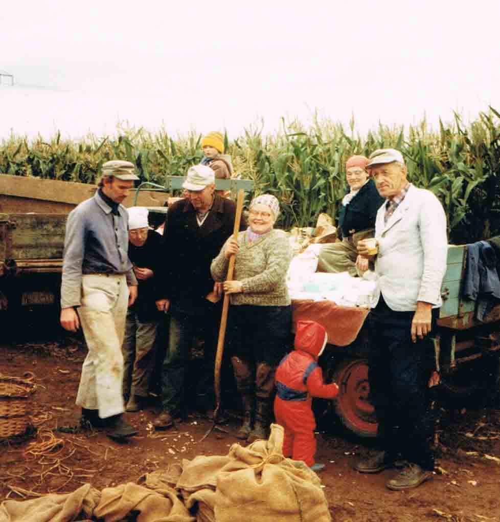 Kartoffelernte bei Riedemanns 1984