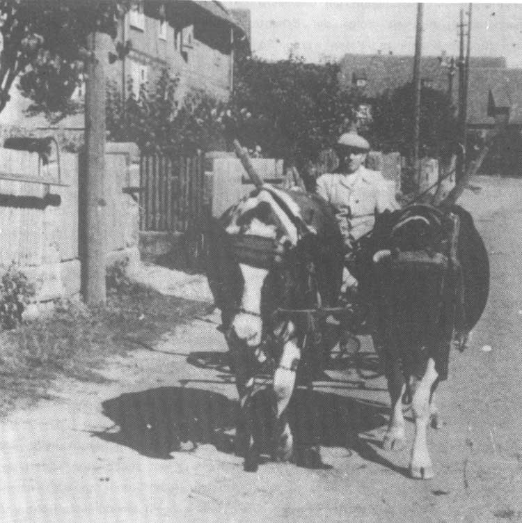 Liese Kuhgespann bearbeitet 1