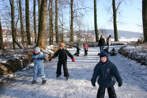 IMG 0029