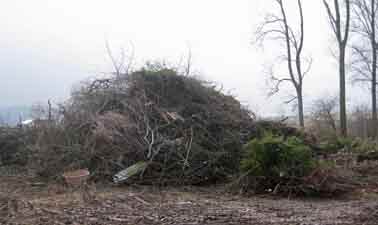 Diverse0313 Canon 005