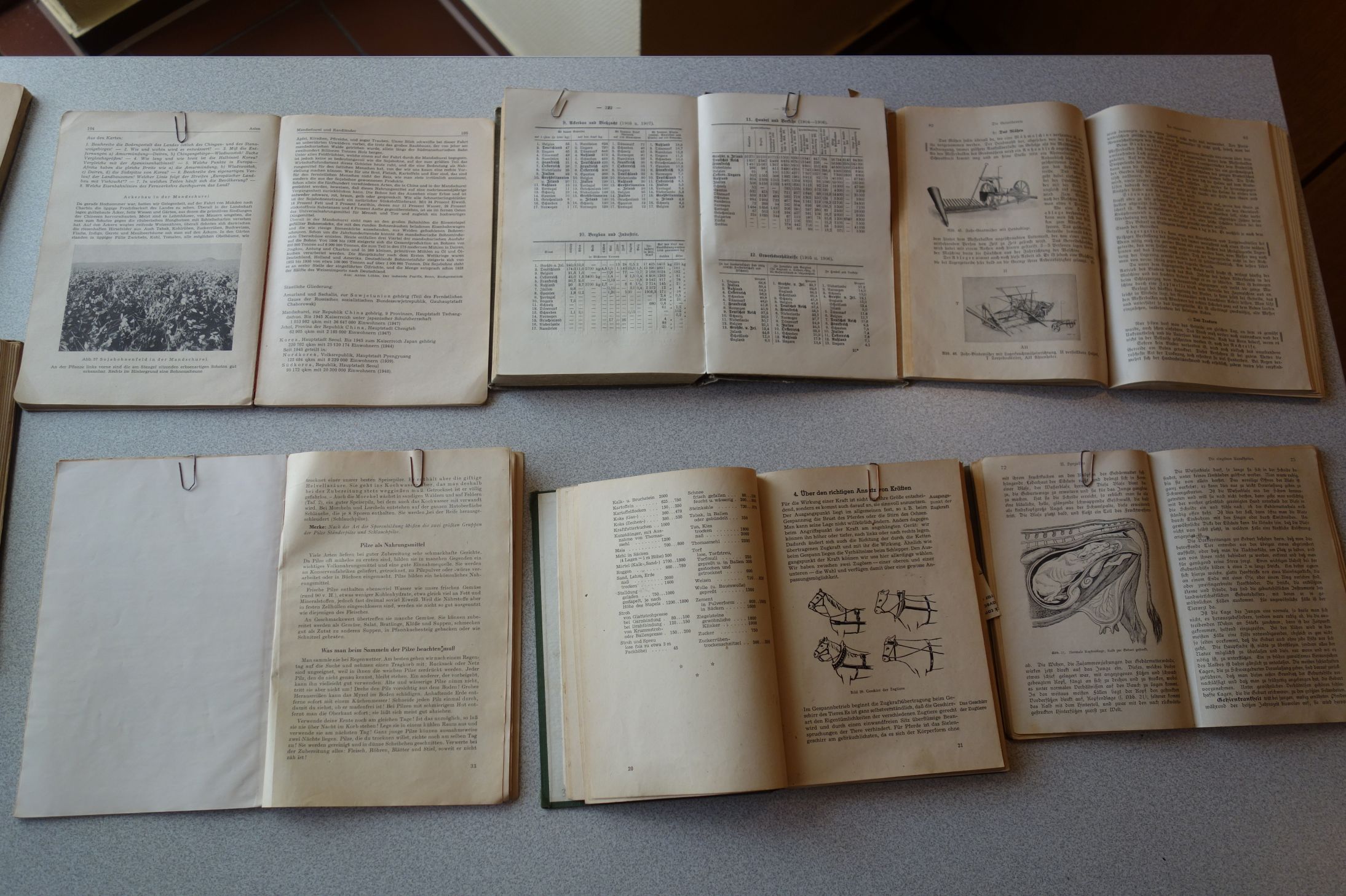 2019 diverse 001 WEB