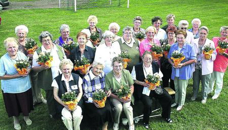 263974833 344 onlineBild